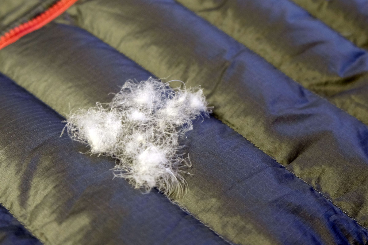 Winter jacket (Down plumage displayed on top of jacket)